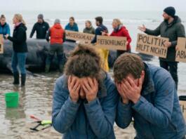 Unfassbar Die absurdesten Tipps für Wal Timmy in den sozialen Medien