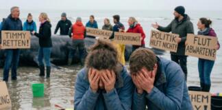 Unfassbar Die absurdesten Tipps für Wal Timmy in den sozialen Medien