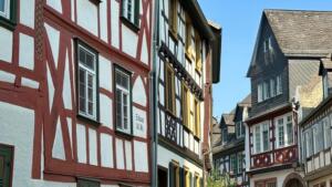 Wolfgang kubicki fordert christian dürr und henning höne heraus