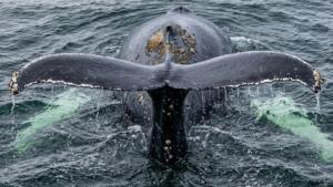 Rheinland-pfalz: rechtsextremisten radikalisieren sich immer schneller