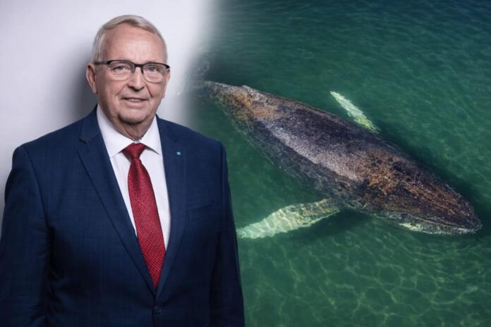 Wal Timmy Backhaus Wal Timmy Backhaus