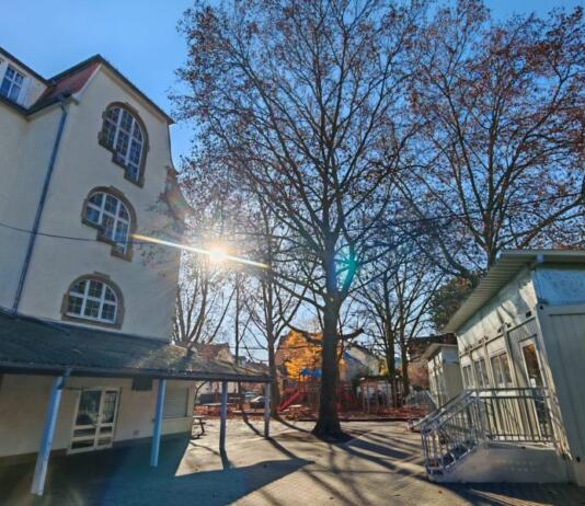 Weisenauer Familienfest