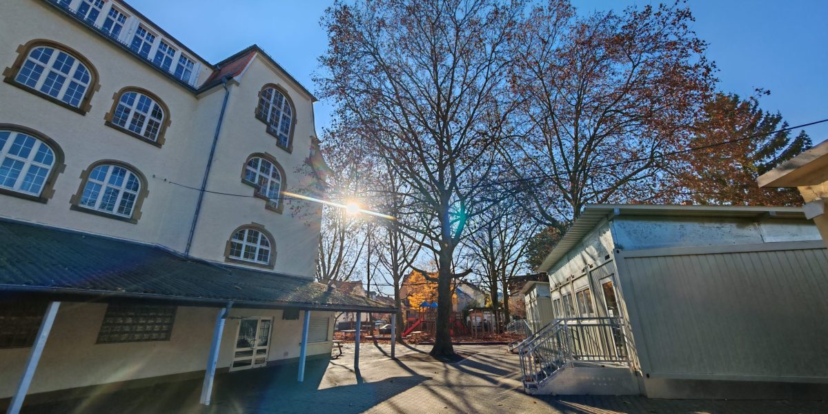 Weisenauer Familienfest