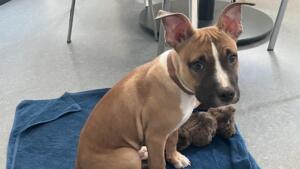 Schwerer unfall in wiesbaden mit eingeklemmter person