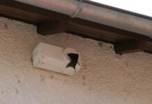 Nisthilfen für Mehlschwalben und Mauersegler in Mombach Arbeitskreis Umwelt Mombach
