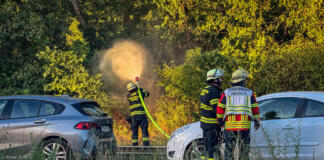 Flächenbrand in Mainz: Stillstand im Bahn- und Straßenbahnverkehr