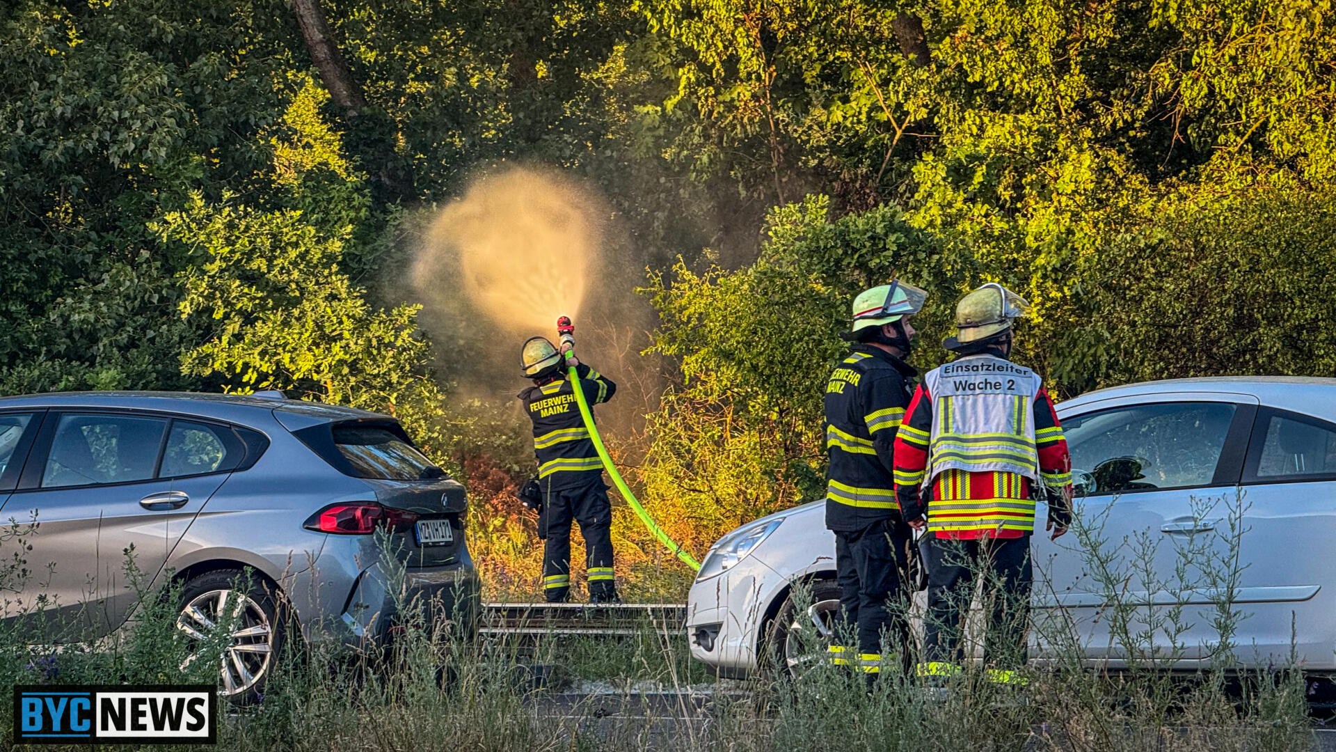 Foto: BYC-News Flächenbrand in Mainz: Stillstand im Bahn- und Straßenbahnverkehr