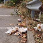 Massive verschlimmerung der zustände in mainz-mombach Müllschneise in der rheinallee