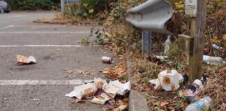 Müllschneise in der Rheinallee