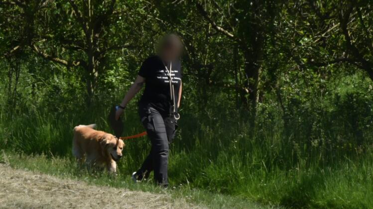 Großeinsatz der polizei zwischen wackernheim und heidesheim Polizeieinsatz zwischen heidesheim und wackernheim | foto: byc-news | thorsten lüttringhaus