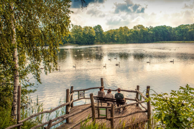 Die kulturellen und nat&uuml;rlichen sch&auml;tze der oberlausitz