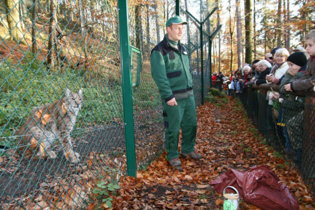 Tierische wanderabenteuer für familien in niedersachsen 2