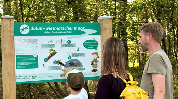 Tierische wanderabenteuer für familien in niedersachsen