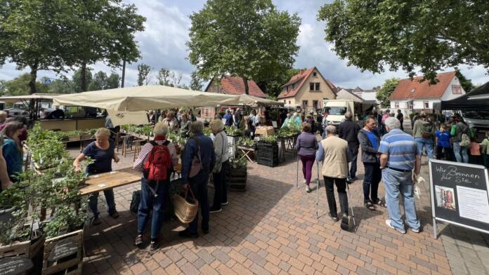 Öko-Markt in Riedstadt Öko-Markt in Riedstadt