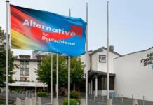 Wie die neue AfD-Spitze in RLP den Stoff für ihr Verbotsverfahren liefert Afd