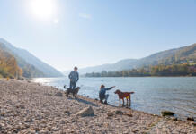 Ferien auf vier Pfoten: Im Passauer Land sind Hunde willkommen Ferien auf vier Pfoten Im Passauer Land sind Hunde willkommen