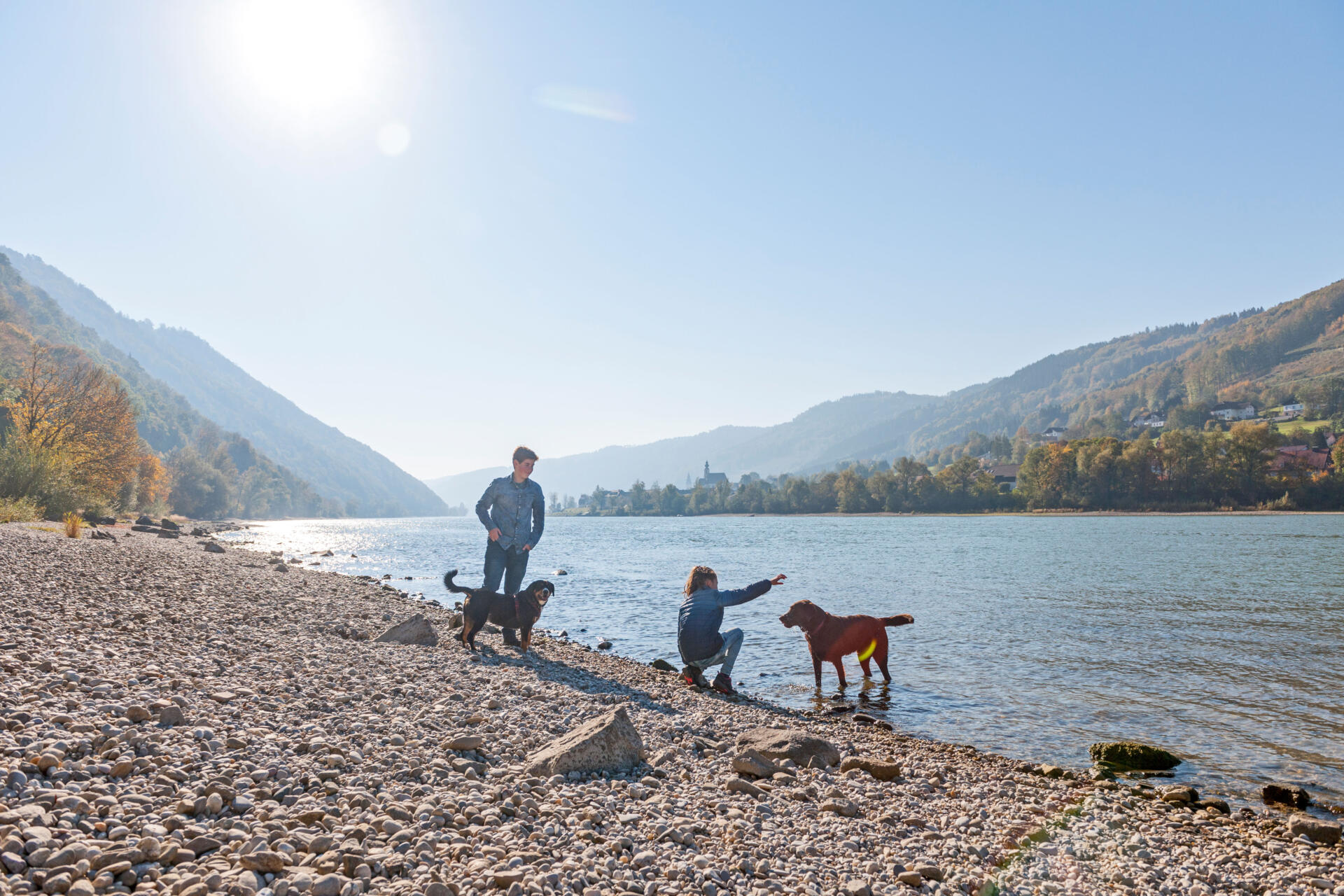 Ferien auf vier Pfoten Im Passauer Land sind Hunde willkommen