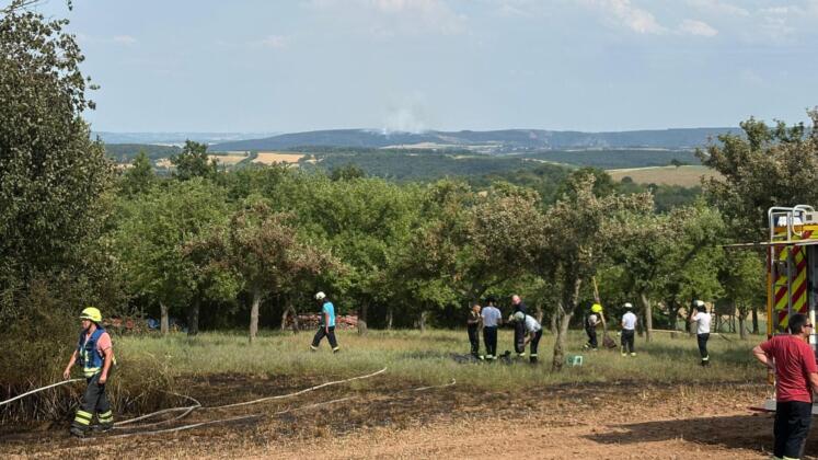 Zahlreiche einsätze bringen feuerwehren der vg rüdesheim an die grenzen 7