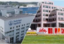 Kommentar: Das Pharma-Beben in Rheinhessen, ein hausgemachtes Desaster Pharma Rheinhessen Boehringer und Lilly