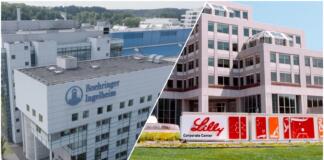 Verbände Deindustrialisierung Pharma Rheinhessen Boehringer und Lilly