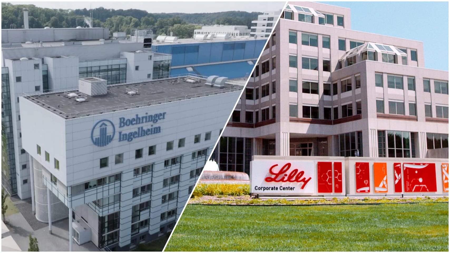 Verbände Deindustrialisierung Pharma Rheinhessen Boehringer und Lilly