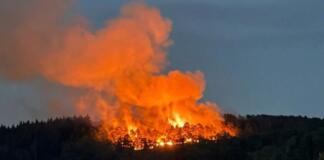 Waldbrand Bad Kreuznach Traisen