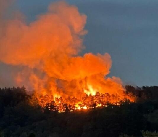 Leserbrief: Ein Schlag ins Gesicht für alle Einsatzkräfte in Traisen Waldbrand Bad Kreuznach Traisen