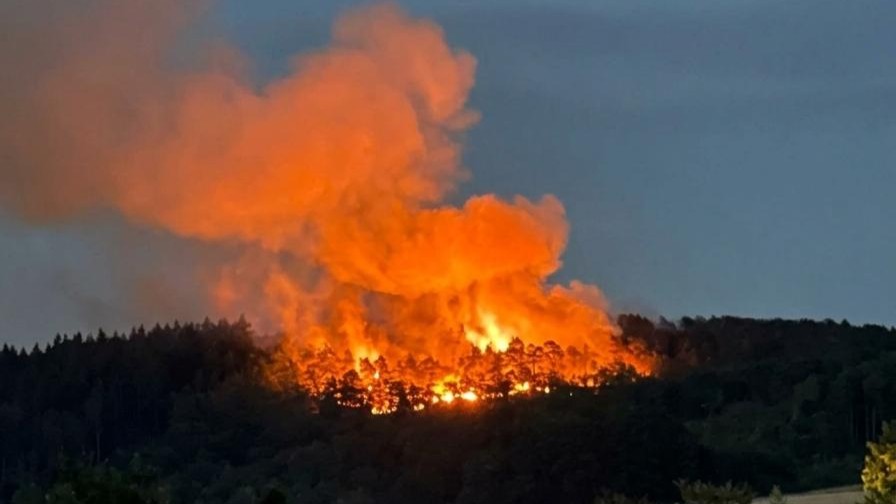 Waldbrand Bad Kreuznach Traisen Waldbrand Bad Kreuznach Traisen
