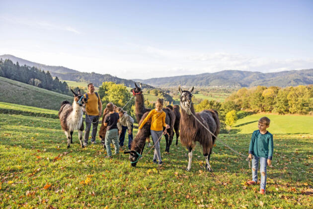 Aktivurlaub im südbadischen dreisamtal 2