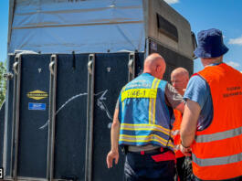 Freiwillige Feuerwehr Ingelheim rettet eingeklemmtes Pferd auf der Autobahn 60