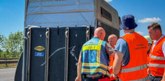 Freiwillige Feuerwehr Ingelheim rettet eingeklemmtes Pferd auf der Autobahn 60