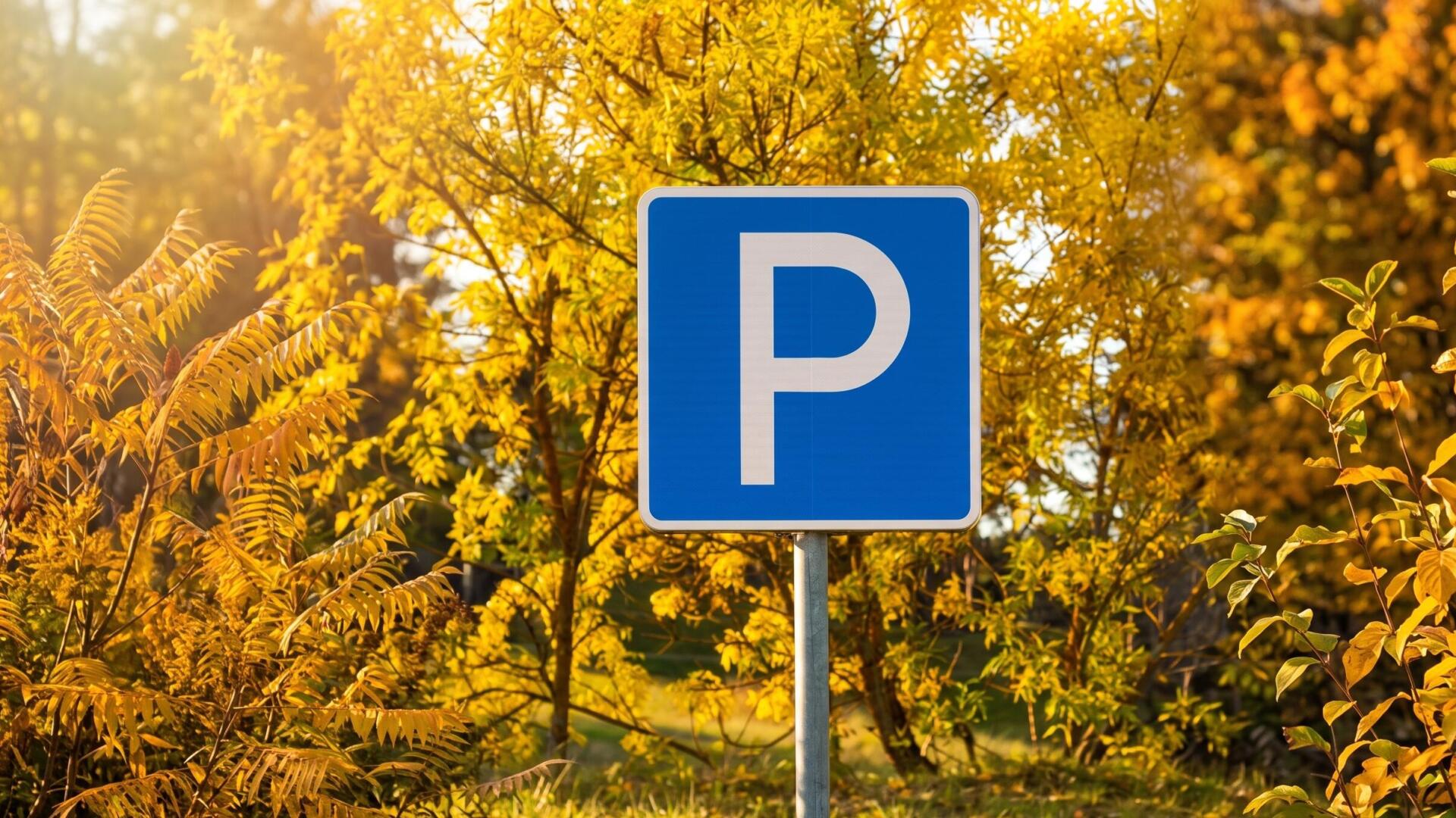 Neue Parkregelung an der Ochsenwiese in Gustavsburg