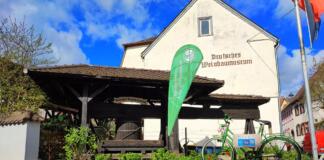 Weinfest Oppenheim Weinbaumuseum