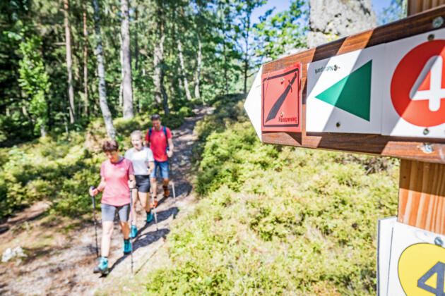 Entdeckungsreise entlang des pandurensteigs im bayerischen wald Entdeckungsreise entlang des pandurensteigs im bayerischen wald 3