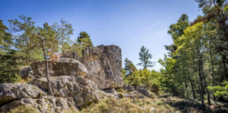 Entdeckungsreise entlang des Pandurensteigs im Bayerischen Wald