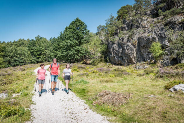 Entdeckungsreise entlang des pandurensteigs im bayerischen wald Entdeckungsreise entlang des pandurensteigs im bayerischen wald 2