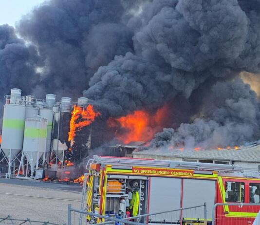 Brand Sprendlingen