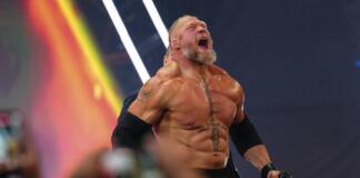 Brock Lesnar Karriereende