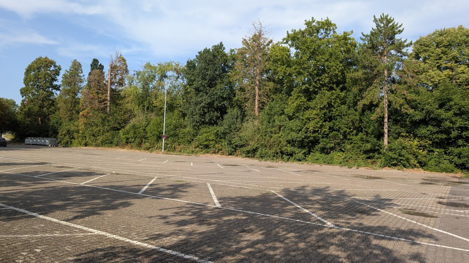 Parkplatz in Nieder-Olm
