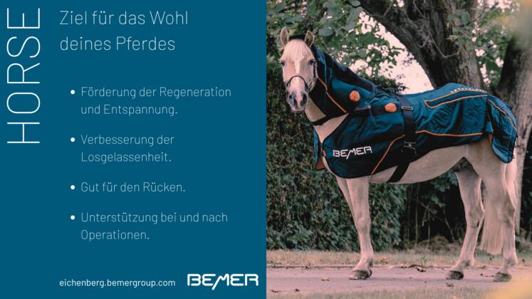 Bemer horse