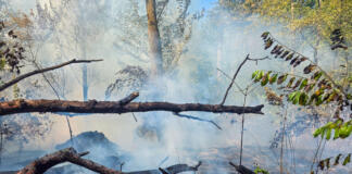 Waldbrand bei Mörfelden-Walldorf auf 4.500 Quadratmeter