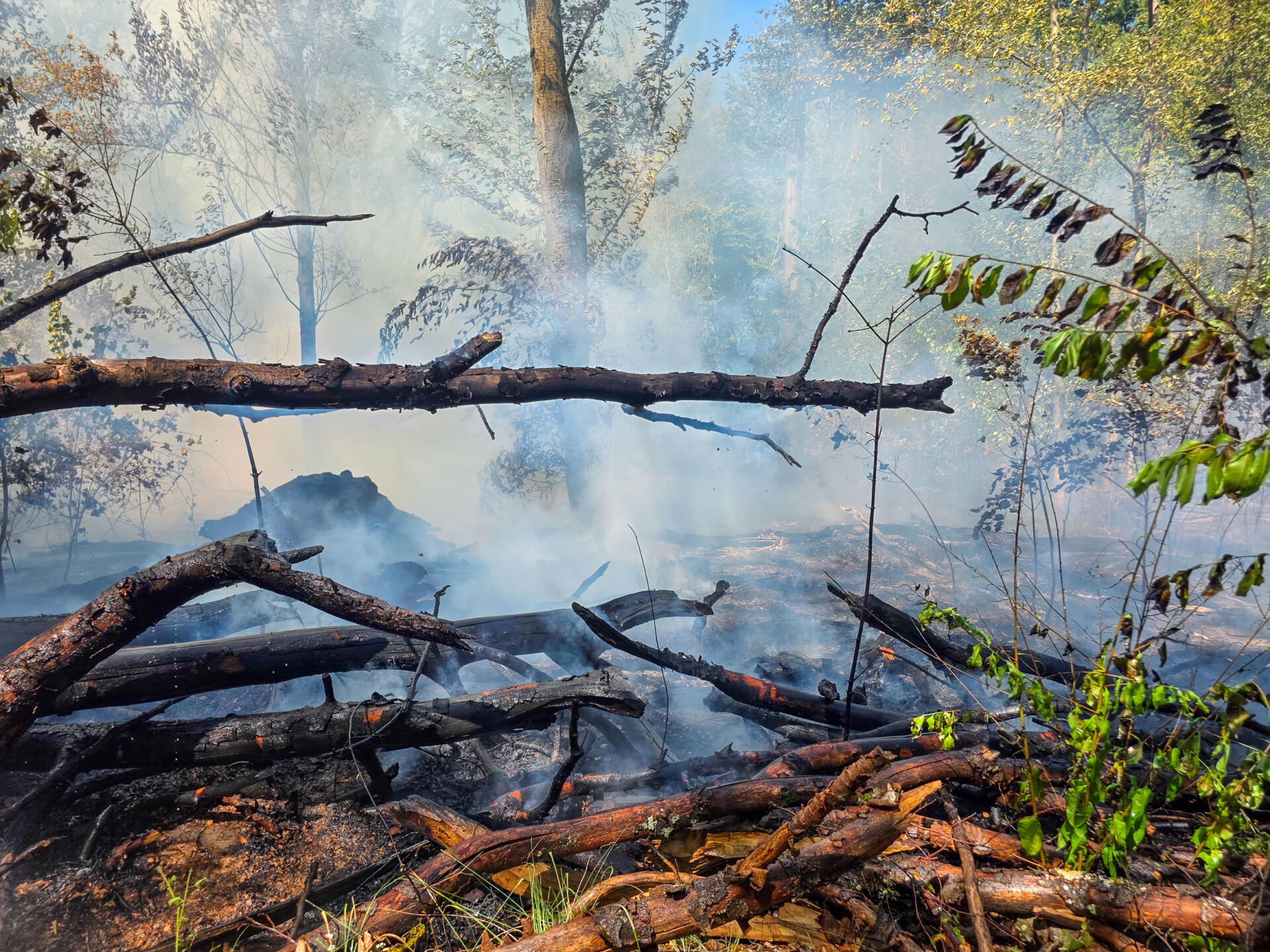 Waldbrand bei Mörfelden-Walldorf auf 4.500 Quadratmeter