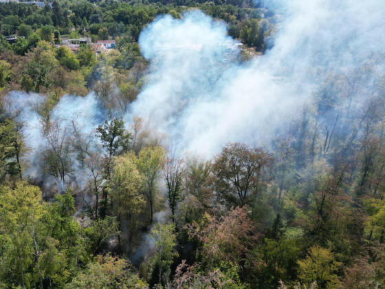 Waldbrand bei m&ouml;rfelden-walldorf auf 4. 500 quadratmeter