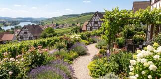 Tage der offenen Gärten in Rheinhessen am 19. und 20. September