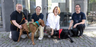 JGU Mainz