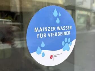 Gratis wasser für hunde: mainzer umweltladen startet neue aktion Mainz