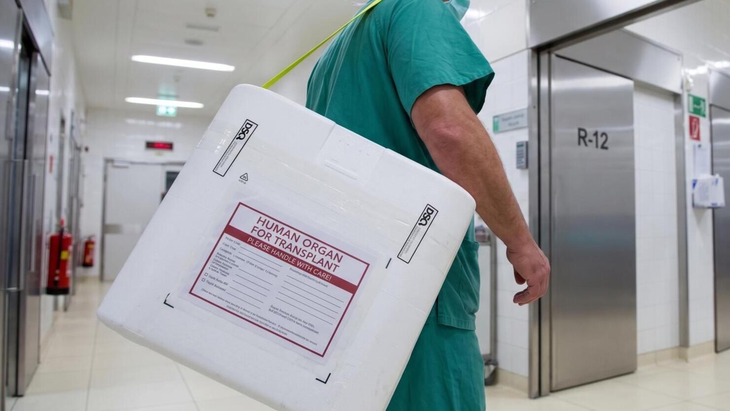 Neuanlauf bei Organspende RLP fordert Umdenken