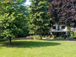 Niersteiner Vereinswelt präsentiert sich beim Tag der Vereine im Stadtpark