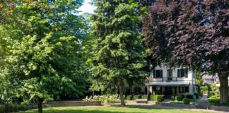 Niersteiner Vereinswelt präsentiert sich beim Tag der Vereine im Stadtpark