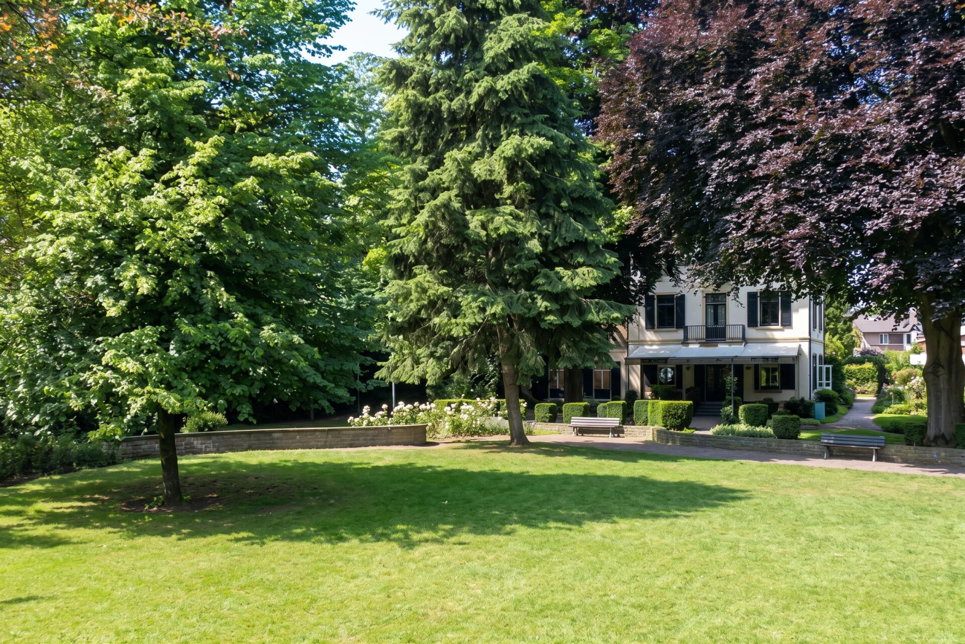 Niersteiner Vereinswelt präsentiert sich beim Tag der Vereine im Stadtpark